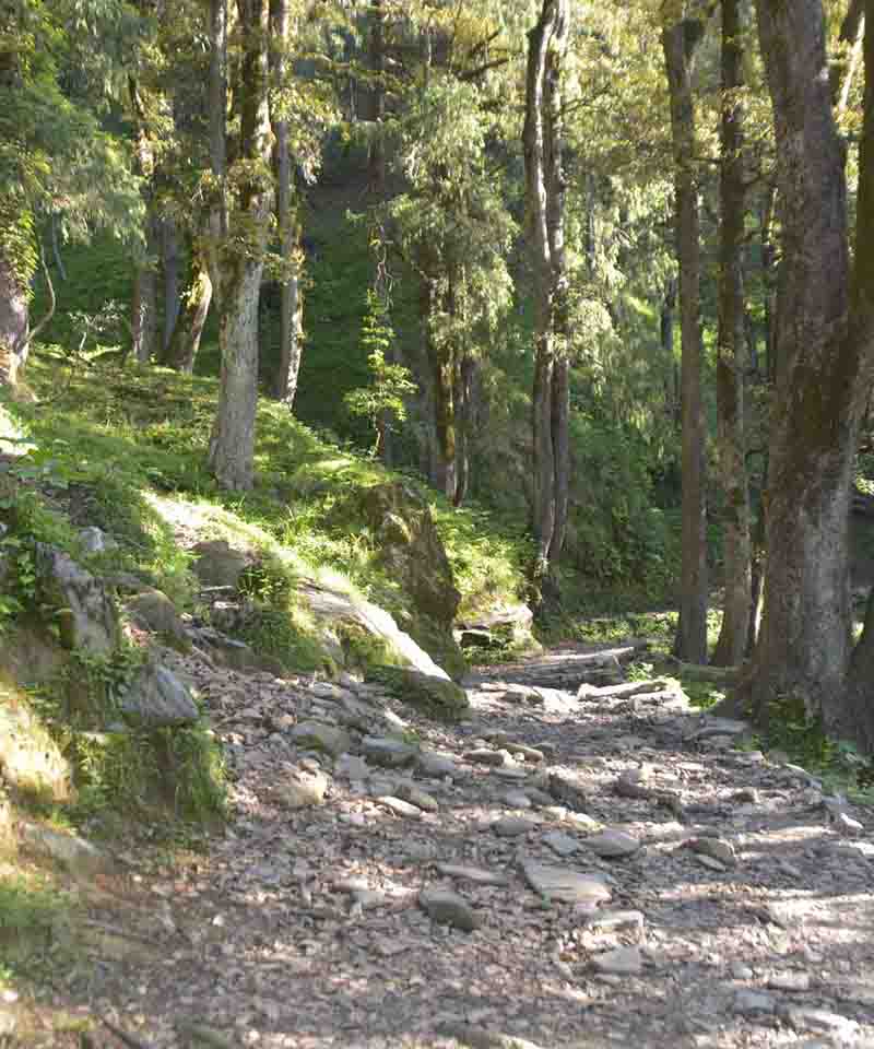 trekking-bir